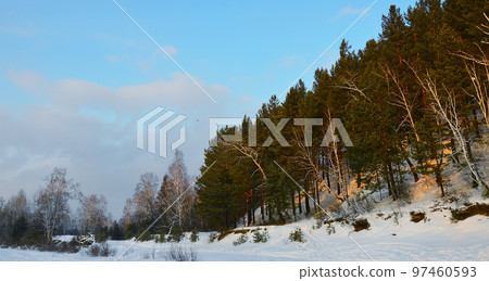 Crows fly over the mountain, which is covered with pine forest. A white fog rises from the river below. The stones and trunks are pink from the setting sun. Nature of Eastern Siberia. Crows fly over the mountain, which is covered with pine forest. A white fog rises from the river below. The stones and trunks are pink from the setting sun. Nature of Eastern Siberia. 97460593