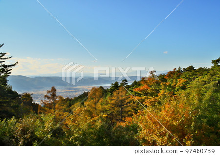 Maple autumn leaves 97460739