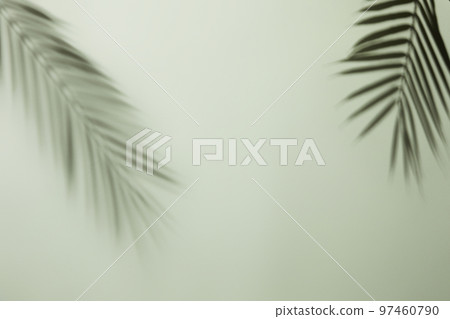 Natural shadow background with glass bottle flower palm trees 97460790