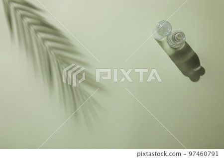 Natural shadow background with glass bottle flower palm trees Natural shadow background with glass bottle flower palm trees 97460791