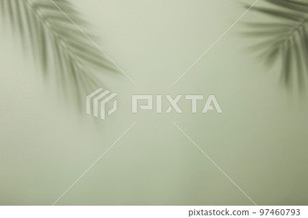 Natural shadow background with glass bottle flower palm trees Natural shadow background with glass bottle flower palm trees 97460793