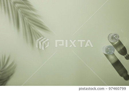 Natural shadow background with glass bottle flower palm trees Natural shadow background with glass bottle flower palm trees 97460799