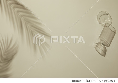 與玻璃瓶花棕櫚樹的自然陰影背景 97460804