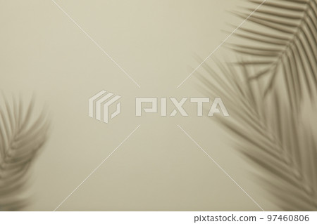 Natural shadow background with glass bottle flower palm trees 97460806