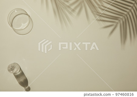 Natural shadow background with glass bottle flower palm trees 97460816