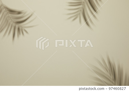 Natural shadow background with glass bottle flower palm trees 97460827