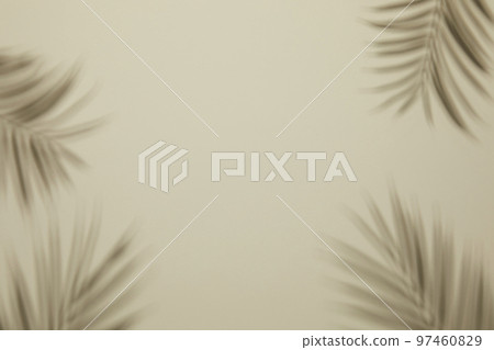 Natural shadow background with glass bottle flower palm trees 97460829