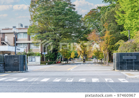 Utsunomiya City, Tochigi Prefecture Seiten no National School Corporation Utsunomiya University 97460967