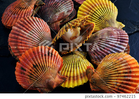 Hiogikai Hiogikai 97462215