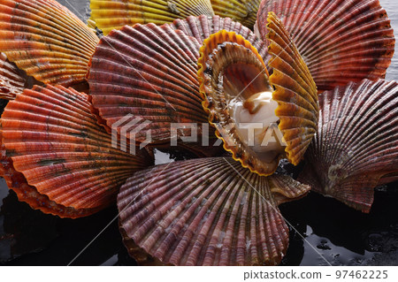 Hiogikai Hiogikai 97462225