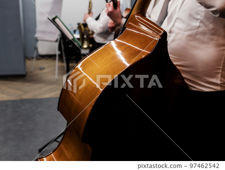 Close-up of double bass, 97462542