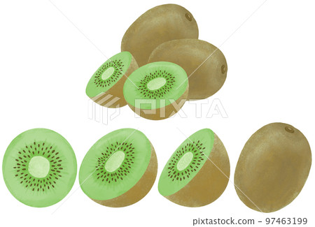 用水彩表示的奇異果插圖集 97463199