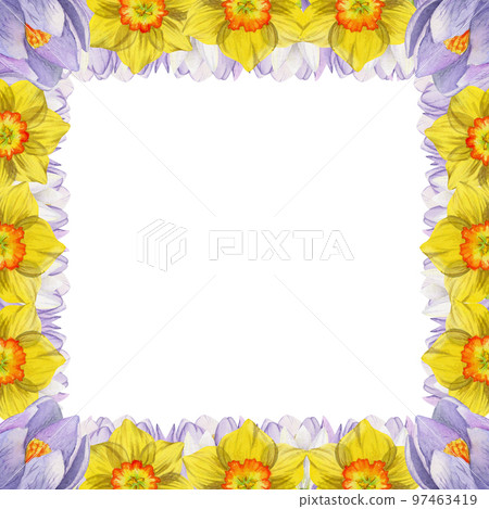 Watercolor hand drawn square frame with spring flowers, crocus, snowdrops, daffodils, leaves. Isolated on white background. Design for invitations, wedding, greeting cards, wallpaper, print, textile. Watercolor hand drawn square frame with spring flowers, crocus, snowdrops, daffodils, leaves. Isolated on white background. Design for invitations, wedding, greeting cards, wallpaper, print, textile. 97463419