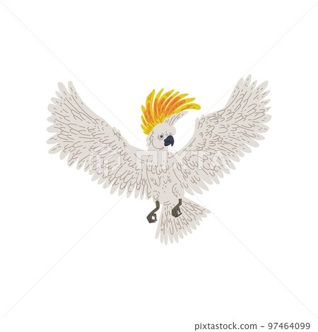 Cockatoo parrot flying with wings spread, flat vector illustration isolated. 97464099