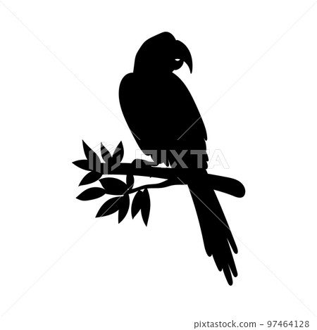Black monochrome silhouette of tropical macaw parrot flat vector isolated. 97464128