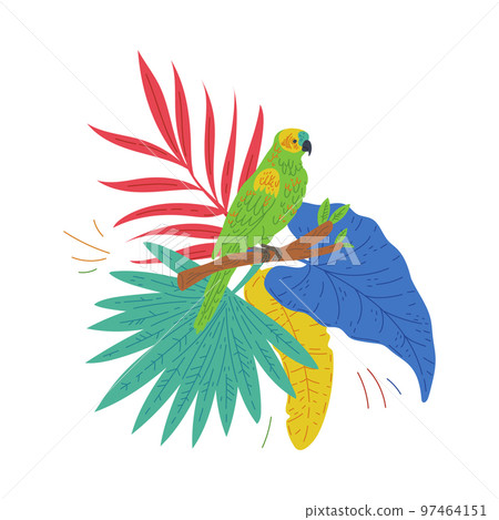 Parrot bird with tropical palm leaves flat vector illustration isolated. 97464151
