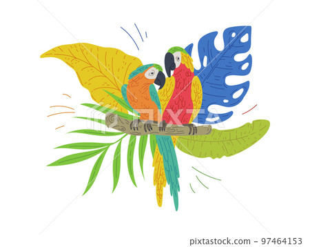 Exotic parrot birds among tropical leaves, flat vector illustration isolated. Exotic parrot birds among tropical leaves, flat vector illustration isolated. 97464153