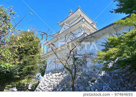 陽光明媚的美濃省大垣城的城堡塔和石牆 97464693
