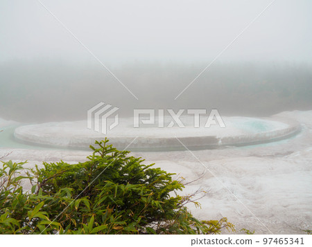 迷霧中的龍眼 97465341