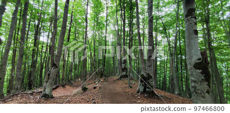 Valbone-Teth hiking trail, Albania 97466800