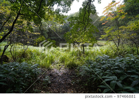 2022 年 9 月 12 日，群馬縣中之條町 Rokugo 地區，Chatsubomigoke 公園遠足路線上的水池 97466881