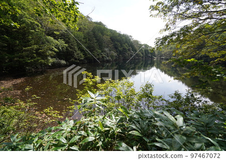 2022 年 9 月 12 日,群馬縣中之條町六鄉區 Chatsubomigoke 公園遠足小徑上的河北池塘 2022 年 9 月 12 日,群馬縣中之條町六鄉區 Chatsubomigoke 公園遠足小徑上的河北池塘 97467072