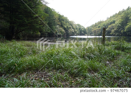 Heibei Pond on the hiking trail from Chatsubomigoke Park, Rokugo District, Nakanojo Town, Gunma Prefecture, September 12, 2022 Heibei Pond on the hiking trail from Chatsubomigoke Park, Rokugo District, Nakanojo Town, Gunma Prefecture, September 12, 2022 97467075
