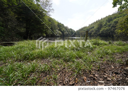 2022 年 9 月 12 日,群馬縣中之條町六鄉區 Chatsubomigoke 公園遠足小徑上的河北池塘 2022 年 9 月 12 日,群馬縣中之條町六鄉區 Chatsubomigoke 公園遠足小徑上的河北池塘 97467076