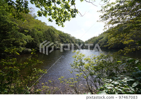 Heibei Pond on the hiking trail from Chatsubomigoke Park, Rokugo District, Nakanojo Town, Gunma Prefecture, September 12, 2022 Heibei Pond on the hiking trail from Chatsubomigoke Park, Rokugo District, Nakanojo Town, Gunma Prefecture, September 12, 2022 97467083