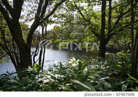2022 年 9 月 12 日,群馬縣中之條町六鄉區 Chatsubomigoke 公園遠足小徑上的河北池塘 2022 年 9 月 12 日,群馬縣中之條町六鄉區 Chatsubomigoke 公園遠足小徑上的河北池塘 97467086