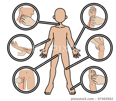 動脈觸診 97469982