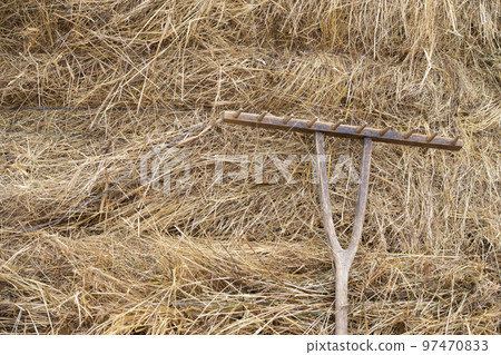 A vintage rake lies on the straw. Rustic background with straw. A vintage rake lies on the straw. Rustic background with straw. 97470833