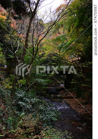 箕面的秋葉 箕面的秋葉 97470997