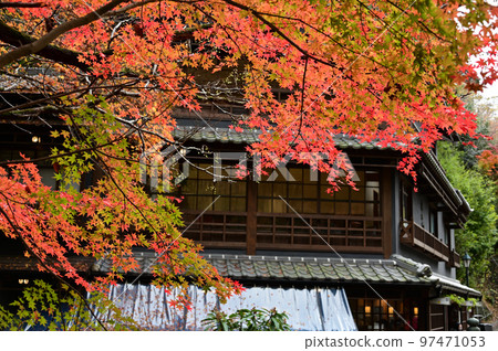 Autumn leaves in Minoh Autumn leaves in Minoh 97471053