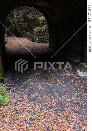 落葉和隧道 落葉和隧道 97471293