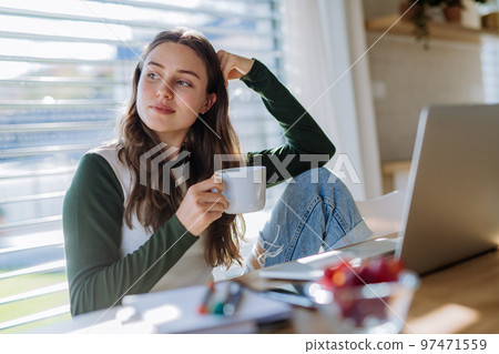Young woman having distance education in her apartment. Young woman having distance education in her apartment. 97471559