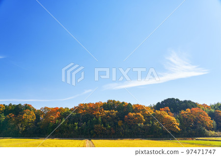 里山的風景和藍天復制從深秋到冬天顏色變化的空間 97471747