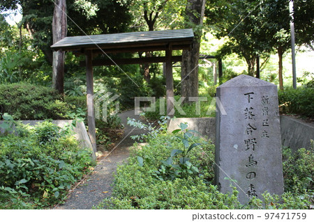 Shimochiai Wild Bird Forest Park Shimochiai Wild Bird Forest Park 97471759
