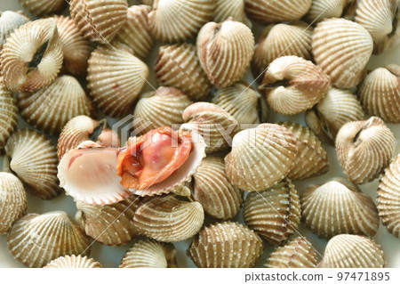 grilled blanched clam with spicy dipping sauce 97471895