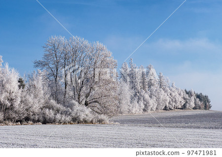 Winter landscape with trees covered with hoarfrost Winter landscape with trees covered with hoarfrost 97471981