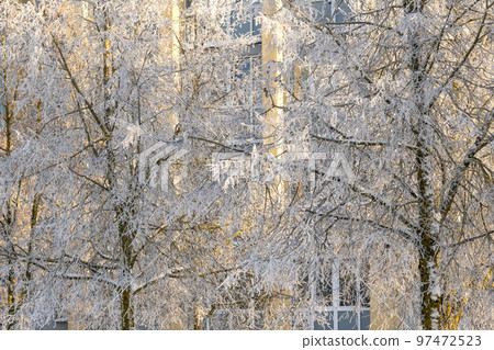 Winter landscape of frosty trees, house in city Winter landscape of frosty trees, house in city 97472523
