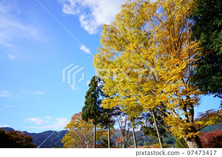 京都Wazuka和Wazukaso的秋葉 97473417