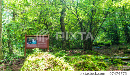 Information board Beautiful mountain streams, valleys, and summer scenery of clear streams ``Tourist attraction: Kikuchi Gorge'', Kikuchi City, Kumamoto Prefecture, Japan Information board Beautiful mountain streams, valleys, and summer scenery of clear streams ``Tourist attraction: Kikuchi Gorge'', Kikuchi City, Kumamoto Prefecture, Japan 97474773