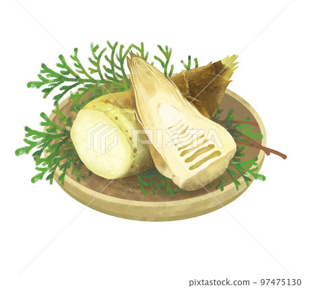 Basket of bamboo shoots cross-section 97475130