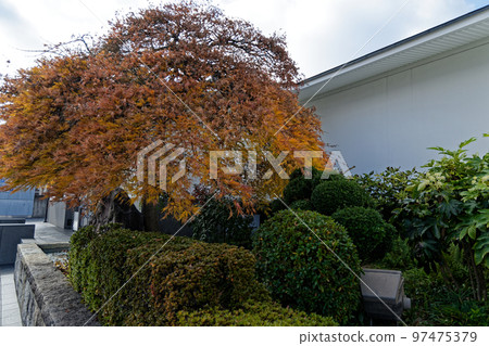 Aichi Prefecture Municipal Museum Meito Museum Aichi Prefecture Municipal Museum Meito Museum 97475379