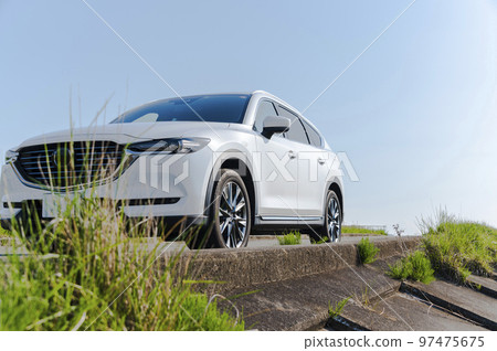 白色SUV型乘用車 97475675