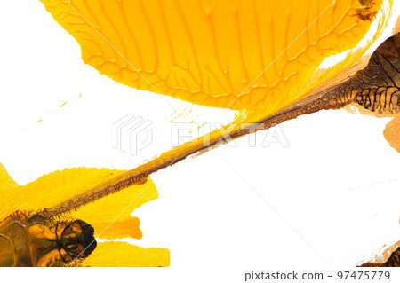 brown creammy yellow abstract acrylic painting color texture on white paper background by using rorschach inkblot method brown creammy yellow abstract acrylic painting color texture on white paper background by using rorschach inkblot method 97475779