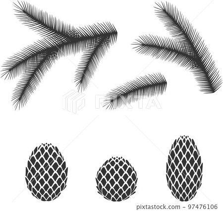 Fir tree branches and cones. Fir tree branches and cones. 97476106