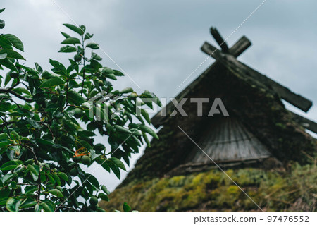 Thick fog in Miyama #18 97476552