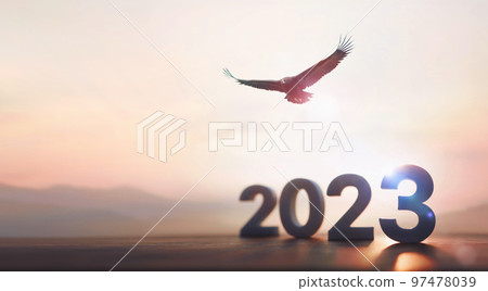 2023年新年旭日東昇飛鷹背景 97478039